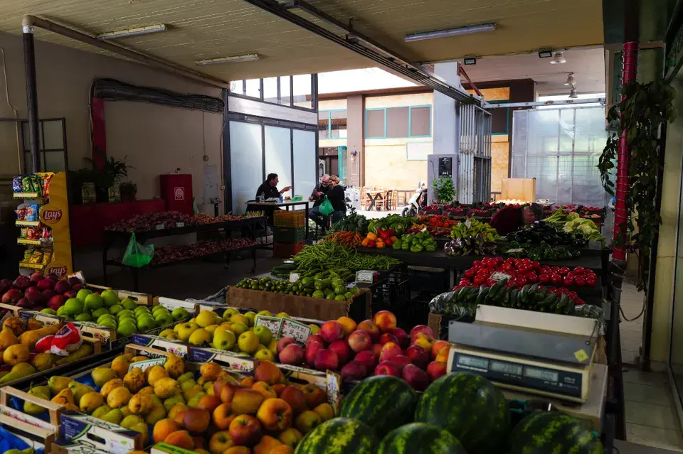 Serving the Mango, FL Community — Mango, FL